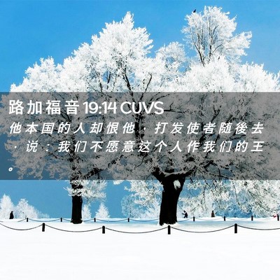 Picture 02 - 路 加 福 音 19:14 CUVS - 他 本 国 的 人 却 恨 他 ， 打 发 使 - Bible Verse Picture
