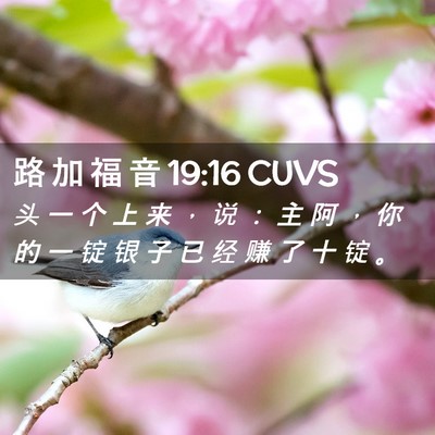Picture 02 - 路 加 福 音 19:16 CUVS - 头 一 个 上 来 ， 说 ： 主 阿 ， 你 - Bible Verse Picture