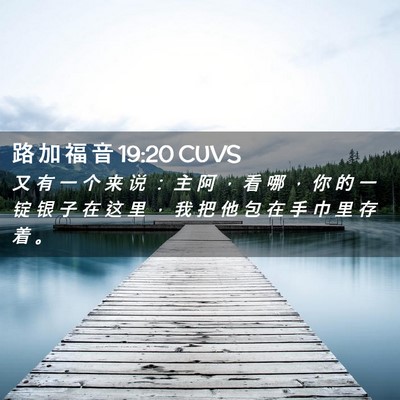 Picture 02 - 路 加 福 音 19:20 CUVS - 又 有 一 个 来 说 ： 主 阿 ， 看 哪 - Bible Verse Picture