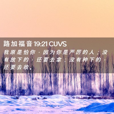 Picture 02 - 路 加 福 音 19:21 CUVS - 我 原 是 怕 你 ， 因 为 你 是 严 厉 - Bible Verse Picture