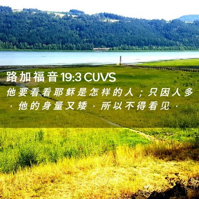 Picture 02 - 路 加 福 音 19:3 CUVS - 他 要 看 看 耶 稣 是 怎 样 的 人 ； - Bible Verse Picture