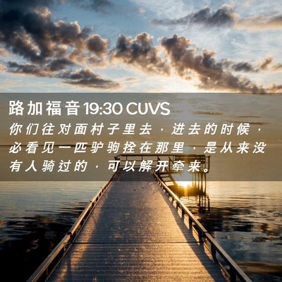 Picture 02 - 路 加 福 音 19:30 CUVS - 你 们 往 对 面 村 子 里 去 ， 进 去 - Bible Verse Picture