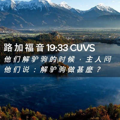 Picture 02 - 路 加 福 音 19:33 CUVS - 他 们 解 驴 驹 的 时 候 ， 主 人 问 - Bible Verse Picture