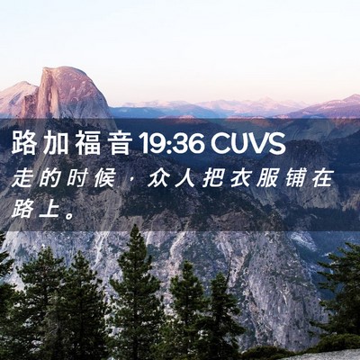 Picture 02 - 路 加 福 音 19:36 CUVS - 走 的 时 候 ， 众 人 把 衣 服 铺 在 - Bible Verse Picture