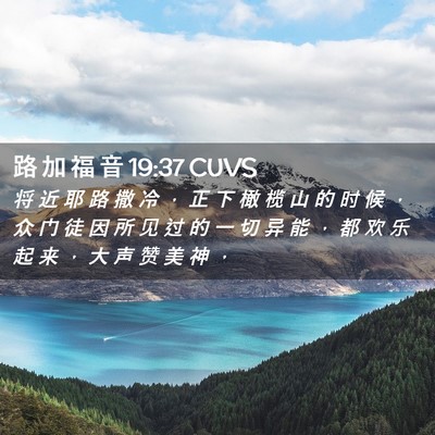Picture 02 - 路 加 福 音 19:37 CUVS - 将 近 耶 路 撒 冷 ， 正 下 橄 榄 山 - Bible Verse Picture