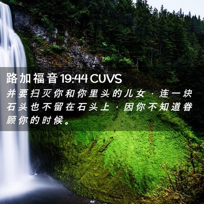 Picture 02 - 路 加 福 音 19:44 CUVS - 并 要 扫 灭 你 和 你 里 头 的 儿 女 - Bible Verse Picture