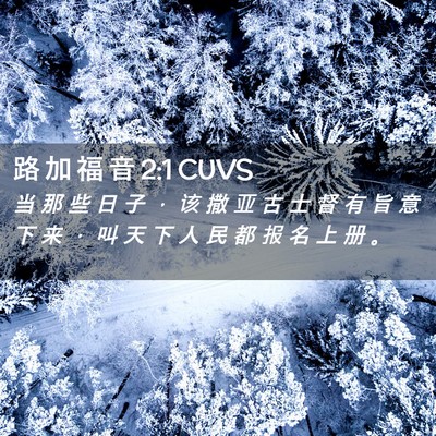 Picture 02 - 路 加 福 音 2:1 CUVS - 当 那 些 日 子 ， 该 撒 亚 古 士 督 - Bible Verse Picture