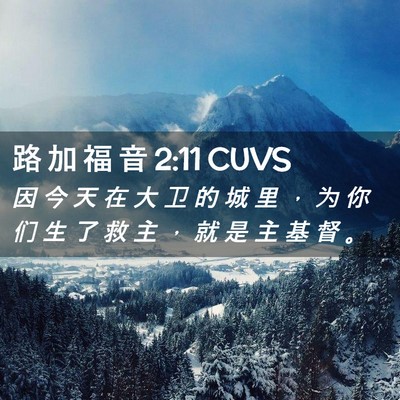 Picture 02 - 路 加 福 音 2:11 CUVS - 因 今 天 在 大 卫 的 城 里 ， 为 你 - Bible Verse Picture