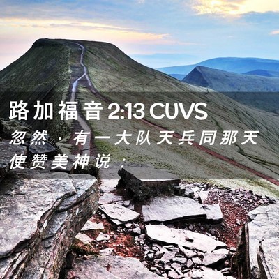 Picture 02 - 路 加 福 音 2:13 CUVS - 忽 然 ， 有 一 大 队 天 兵 同 那 天 - Bible Verse Picture