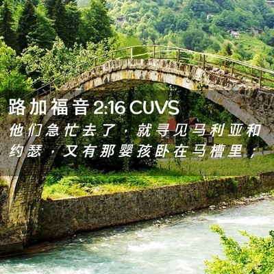 Picture 02 - 路 加 福 音 2:16 CUVS - 他 们 急 忙 去 了 ， 就 寻 见 马 利 - Bible Verse Picture