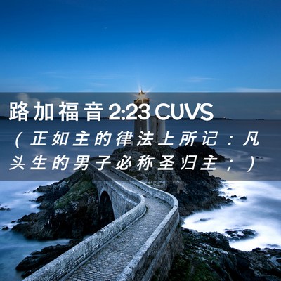 Picture 02 - 路 加 福 音 2:23 CUVS - （ 正 如 主 的 律 法 上 所 记 ： 凡 - Bible Verse Picture