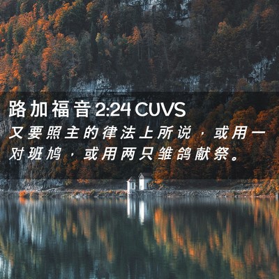 Picture 02 - 路 加 福 音 2:24 CUVS - 又 要 照 主 的 律 法 上 所 说 ， 或 - Bible Verse Picture