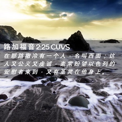 Picture 02 - 路 加 福 音 2:25 CUVS - 在 耶 路 撒 冷 有 一 个 人 ， 名 叫 - Bible Verse Picture