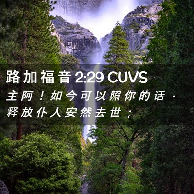 Picture 02 - 路 加 福 音 2:29 CUVS - 主 阿 ！ 如 今 可 以 照 你 的 话 ， - Bible Verse Picture