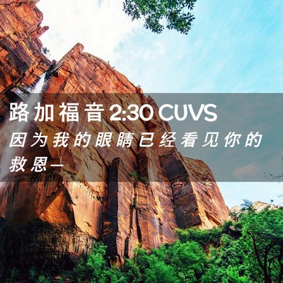 Picture 02 - 路 加 福 音 2:30 CUVS - 因 为 我 的 眼 睛 已 经 看 见 你 的 - Bible Verse Picture