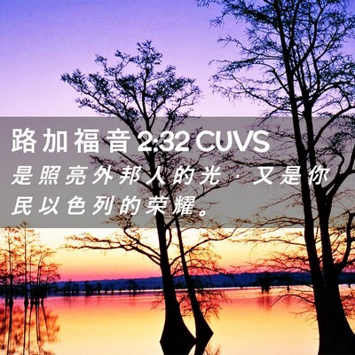 Picture 02 - 路 加 福 音 2:32 CUVS - 是 照 亮 外 邦 人 的 光 ， 又 是 你 - Bible Verse Picture