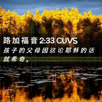 Picture 02 - 路 加 福 音 2:33 CUVS - 孩 子 的 父 母 因 这 论 耶 稣 的 话 - Bible Verse Picture