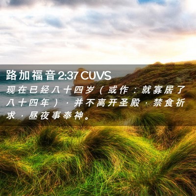 Picture 02 - 路 加 福 音 2:37 CUVS - 现 在 已 经 八 十 四 岁 （ 或 作 ： - Bible Verse Picture
