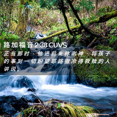 Picture 02 - 路 加 福 音 2:38 CUVS - 正 当 那 时 ， 他 进 前 来 称 谢 神 - Bible Verse Picture