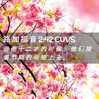Picture 02 - 路 加 福 音 2:42 CUVS - 当 他 十 二 岁 的 时 候 ， 他 们 按 - Bible Verse Picture