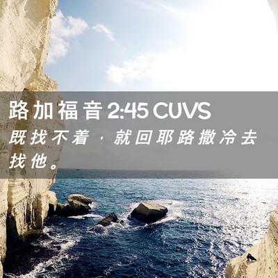 Picture 02 - 路 加 福 音 2:45 CUVS - 既 找 不 着 ， 就 回 耶 路 撒 冷 去 - Bible Verse Picture