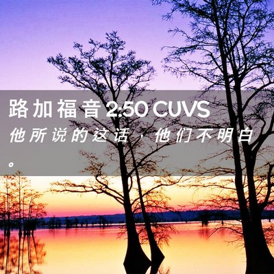 Picture 02 - 路 加 福 音 2:50 CUVS - 他 所 说 的 这 话 ， 他 们 不 明 白 - Bible Verse Picture