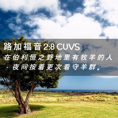 Picture 02 - 路 加 福 音 2:8 CUVS - 在 伯 利 恒 之 野 地 里 有 牧 羊 的 - Bible Verse Picture