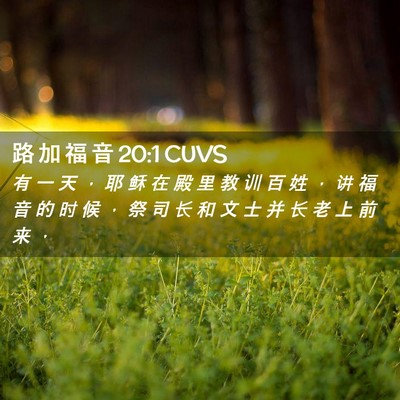 Picture 02 - 路 加 福 音 20:1 CUVS - 有 一 天 ， 耶 稣 在 殿 里 教 训 百 - Bible Verse Picture