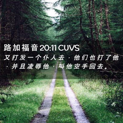 Picture 02 - 路 加 福 音 20:11 CUVS - 又 打 发 一 个 仆 人 去 ， 他 们 也 - Bible Verse Picture