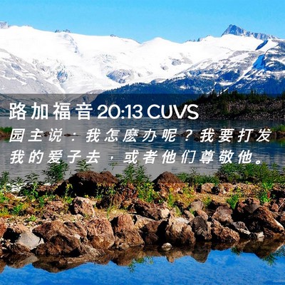 Picture 02 - 路 加 福 音 20:13 CUVS - 园 主 说 ： 我 怎 麽 办 呢 ？ 我 要 - Bible Verse Picture