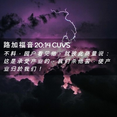 Picture 02 - 路 加 福 音 20:14 CUVS - 不 料 ， 园 户 看 见 他 ， 就 彼 此 - Bible Verse Picture