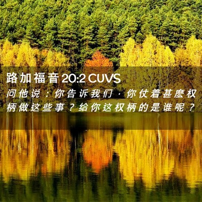 Picture 02 - 路 加 福 音 20:2 CUVS - 问 他 说 ： 你 告 诉 我 们 ， 你 仗 - Bible Verse Picture