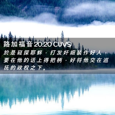 Picture 02 - 路 加 福 音 20:20 CUVS - 於 是 窥 探 耶 稣 ， 打 发 奸 细 装 - Bible Verse Picture