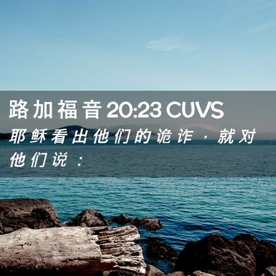 Picture 02 - 路 加 福 音 20:23 CUVS - 耶 稣 看 出 他 们 的 诡 诈 ， 就 对 - Bible Verse Picture