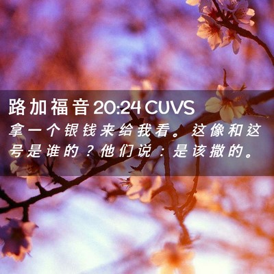 Picture 02 - 路 加 福 音 20:24 CUVS - 拿 一 个 银 钱 来 给 我 看 。 这 像 - Bible Verse Picture