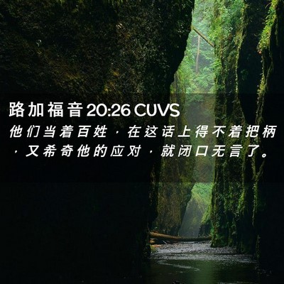 Picture 02 - 路 加 福 音 20:26 CUVS - 他 们 当 着 百 姓 ， 在 这 话 上 得 - Bible Verse Picture