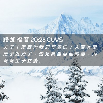 Picture 02 - 路 加 福 音 20:28 CUVS - 夫 子 ！ 摩 西 为 我 们 写 着 说 ： - Bible Verse Picture
