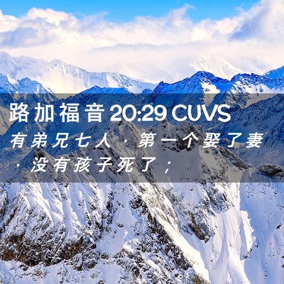 Picture 02 - 路 加 福 音 20:29 CUVS - 有 弟 兄 七 人 ， 第 一 个 娶 了 妻 - Bible Verse Picture