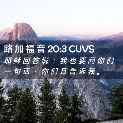 Picture 02 - 路 加 福 音 20:3 CUVS - 耶 稣 回 答 说 ： 我 也 要 问 你 们 - Bible Verse Picture