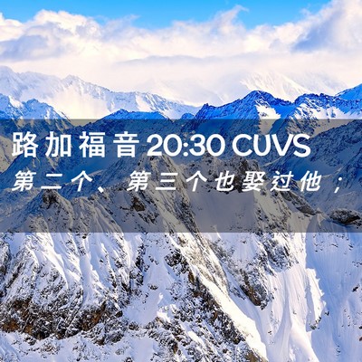 Picture 02 - 路 加 福 音 20:30 CUVS - 第 二 个 、 第 三 个 也 娶 过 他 - Bible Verse Picture