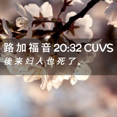 Picture 02 - 路 加 福 音 20:32 CUVS - 後 来 妇 人 也 死 了 - Bible Verse Picture