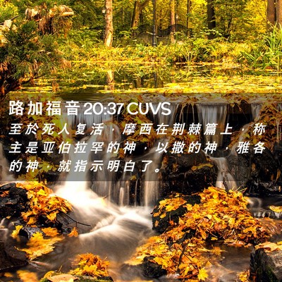 Picture 02 - 路 加 福 音 20:37 CUVS - 至 於 死 人 复 活 ， 摩 西 在 荆 棘 - Bible Verse Picture