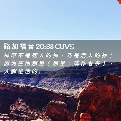 Picture 02 - 路 加 福 音 20:38 CUVS - 神 原 不 是 死 人 的 神 ， 乃 是 活 - Bible Verse Picture