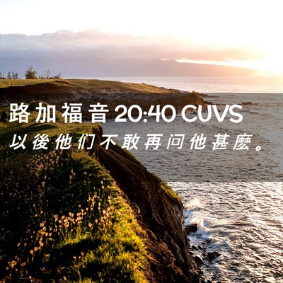 Picture 02 - 路 加 福 音 20:40 CUVS - 以 後 他 们 不 敢 再 问 他 甚 麽 - Bible Verse Picture