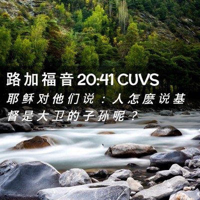 Picture 02 - 路 加 福 音 20:41 CUVS - 耶 稣 对 他 们 说 ： 人 怎 麽 说 基 - Bible Verse Picture