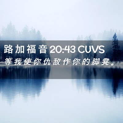 Picture 02 - 路 加 福 音 20:43 CUVS - 等 我 使 你 仇 敌 作 你 的 脚 凳 - Bible Verse Picture
