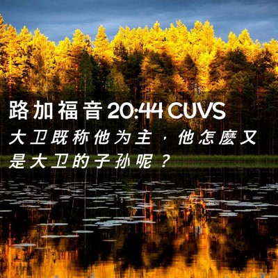 Picture 02 - 路 加 福 音 20:44 CUVS - 大 卫 既 称 他 为 主 ， 他 怎 麽 又 - Bible Verse Picture