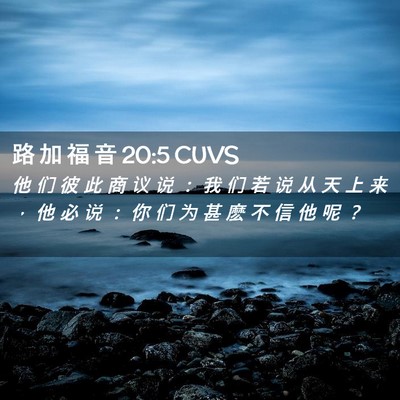 Picture 02 - 路 加 福 音 20:5 CUVS - 他 们 彼 此 商 议 说 ： 我 们 若 说 - Bible Verse Picture