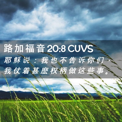 Picture 02 - 路 加 福 音 20:8 CUVS - 耶 稣 说 ： 我 也 不 告 诉 你 们 ， - Bible Verse Picture