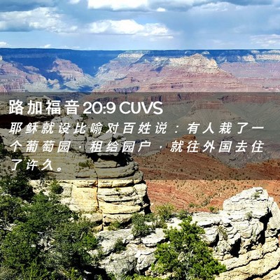 Picture 02 - 路 加 福 音 20:9 CUVS - 耶 稣 就 设 比 喻 对 百 姓 说 ： 有 - Bible Verse Picture